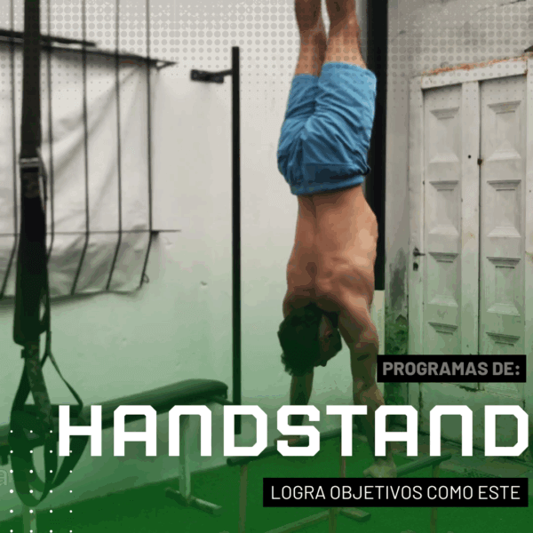 Programa de Handstand/Pino - Calistenia Online - Galdeano Fit