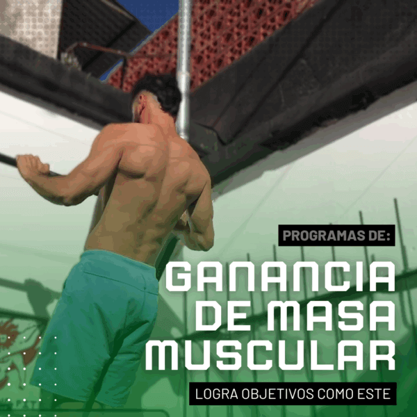Programa Hipertrofia - Calistenia Online - Galdeano Fit