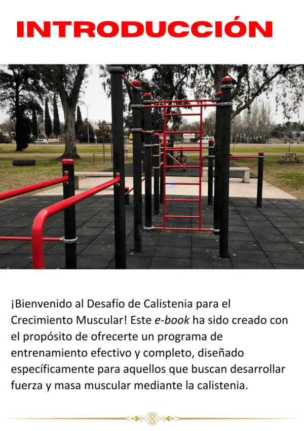 Bienvenida del Ebook