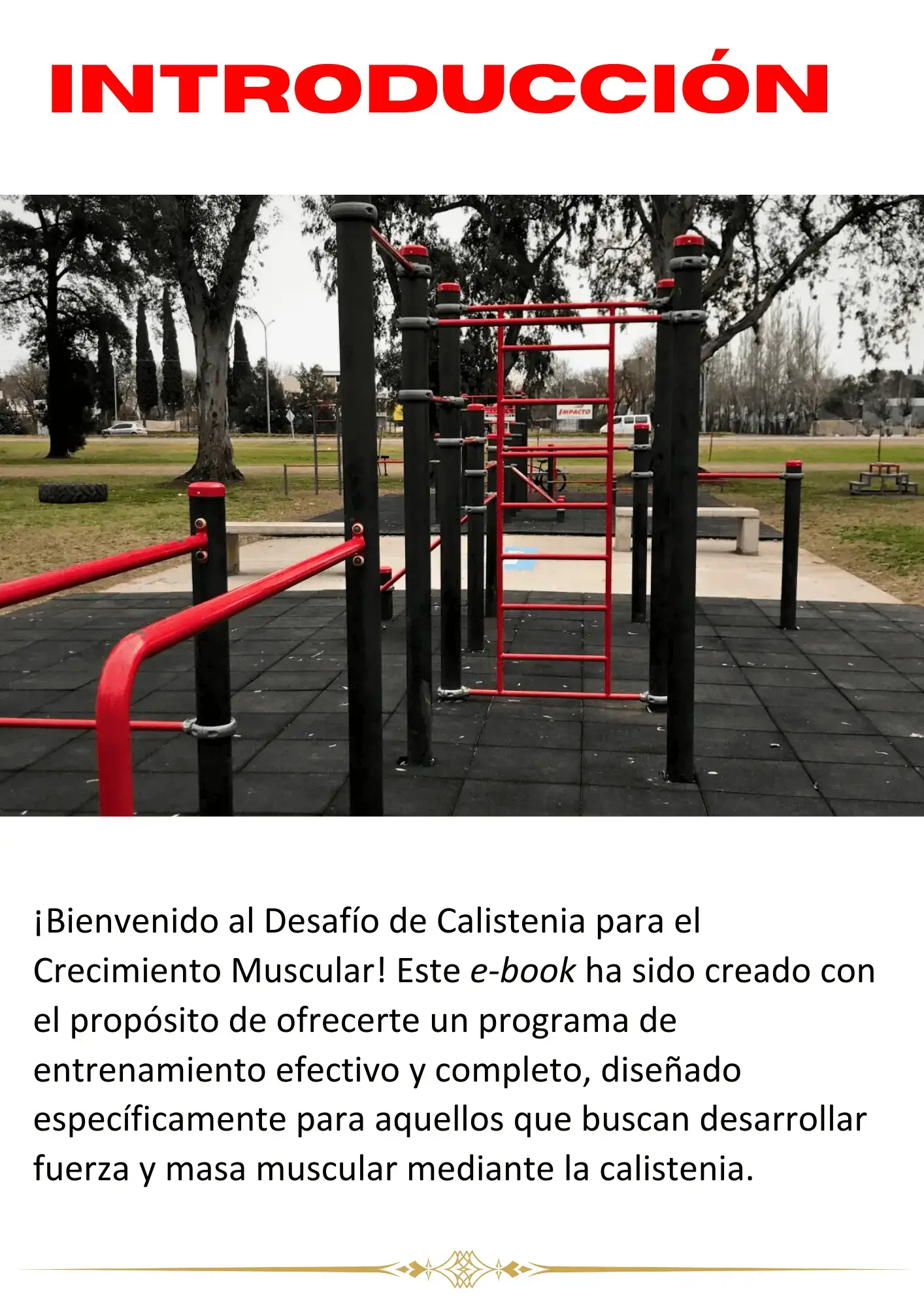 Intricucción a la calistenia para principiantes