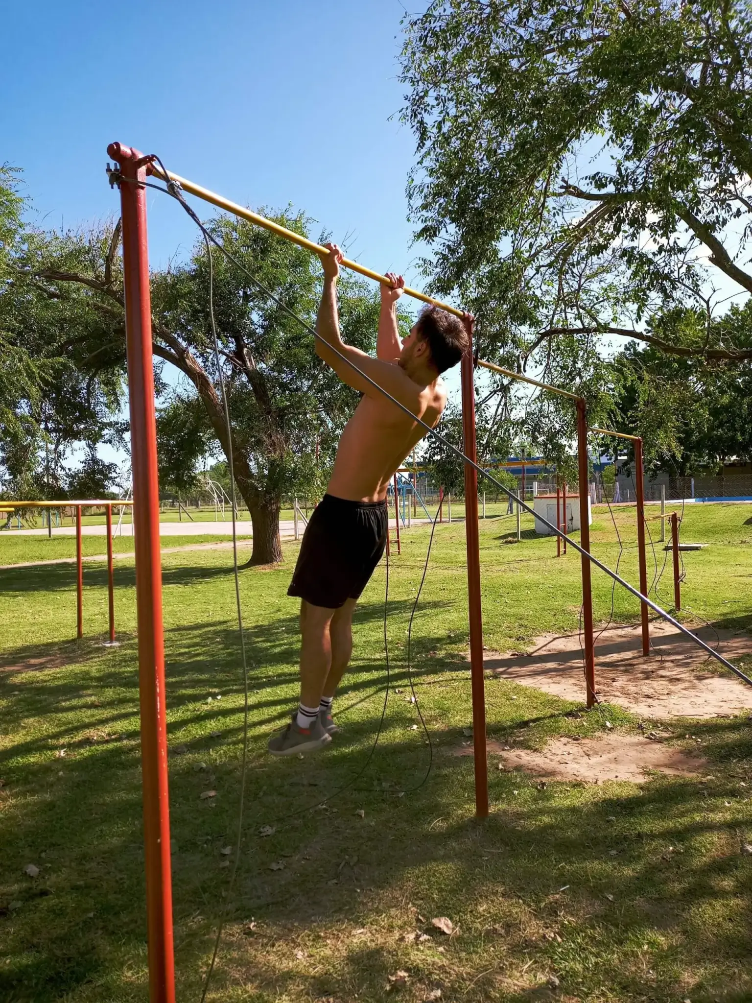 fase media de las dominadas supinas