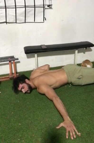 Flexiones Arqueras