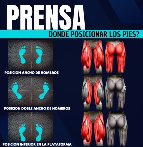 posición de los pies para entrenar aductores en prensa, así tambien cuádriceps y glúteos