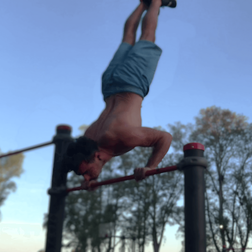 Pino en barra galdeano fit