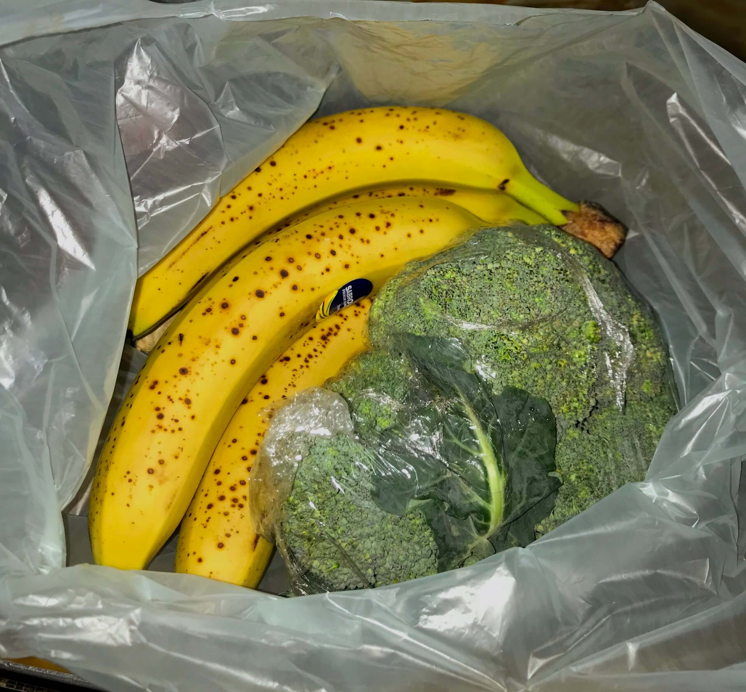 ¿Es posible ganar músculo con una dieta vegetariana o vegana?