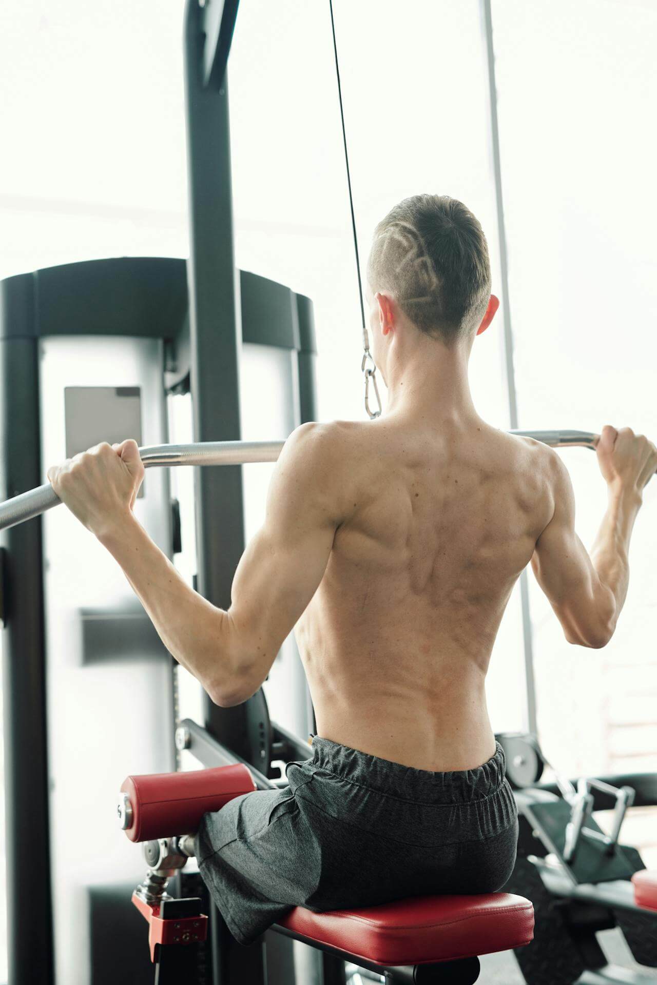 ¿Qué significa ectomorfo?