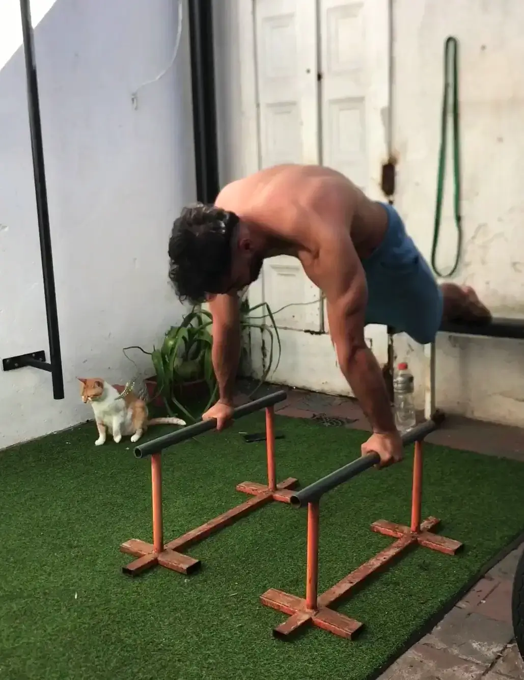 Ejercicios de calistenia para hombros
