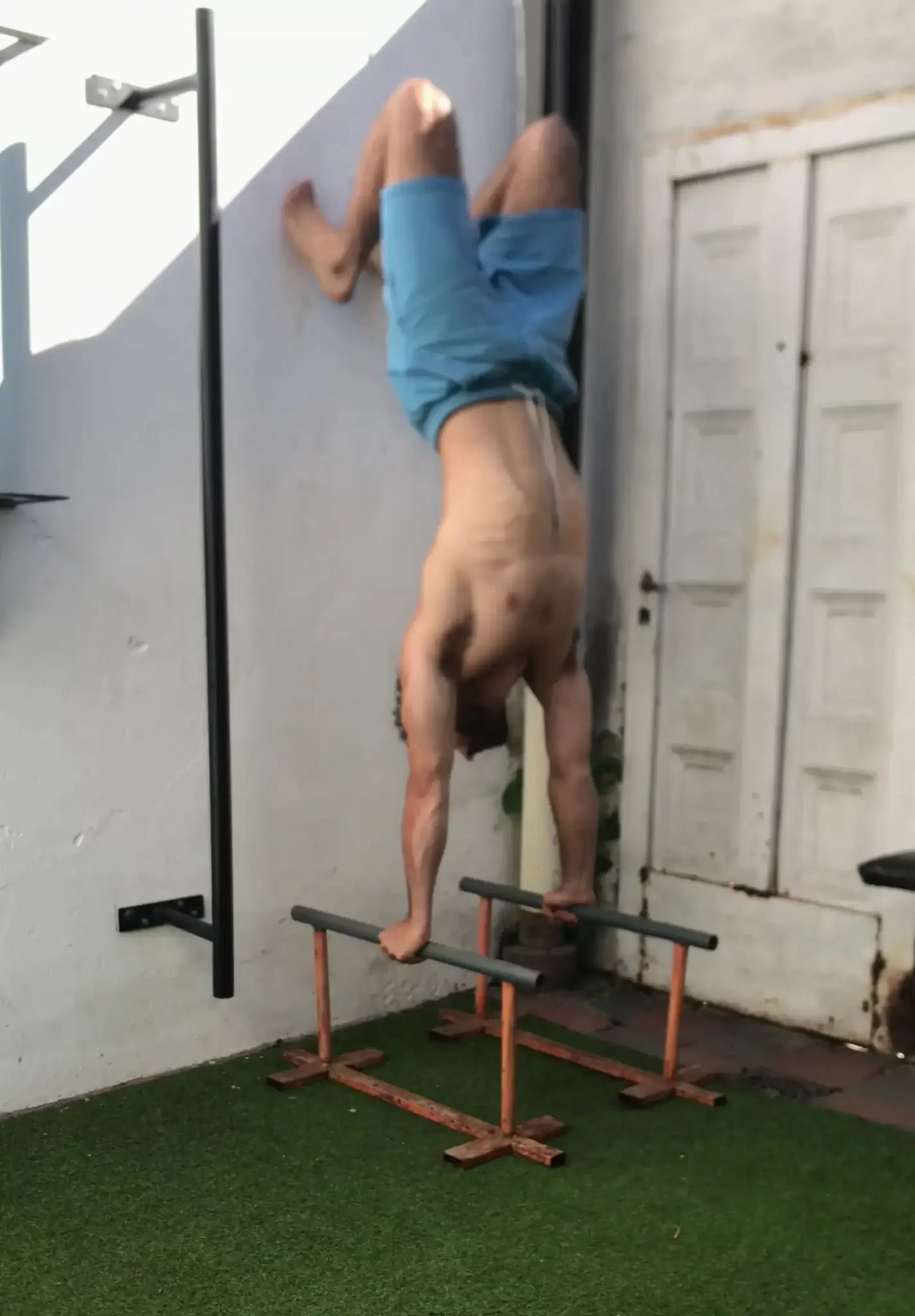 Pino asistido contra la pared